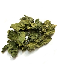 Figuier - Feuille en vrac Herboristerie du Palais Royal Paris