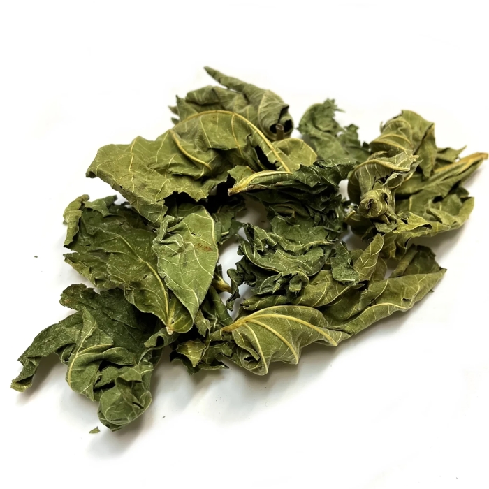 Figuier - Feuille en vrac Herboristerie du Palais Royal Paris