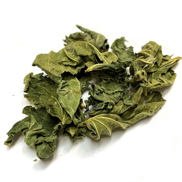 Figuier - Feuille en vrac Herboristerie du Palais Royal Paris