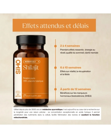 Shilajit résine pure, en gélules