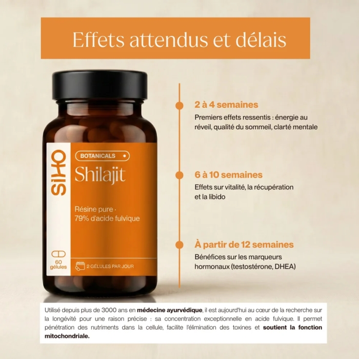 Shilajit résine pure, en gélules