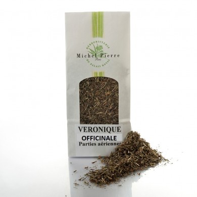 Véronique officinale - Parties Aériennes en vrac Véronique officinale - Parties Aériennes en vrac