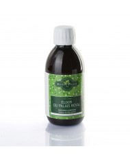 Ortie piquante - Racines en vrac Ortie piquante - Racines en vrac