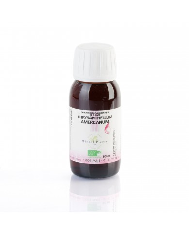 Chrysanthellum americanum extrait hydroalcoolique Bio Chrysanthellum americanum extrait hydroalcoolique Bio
