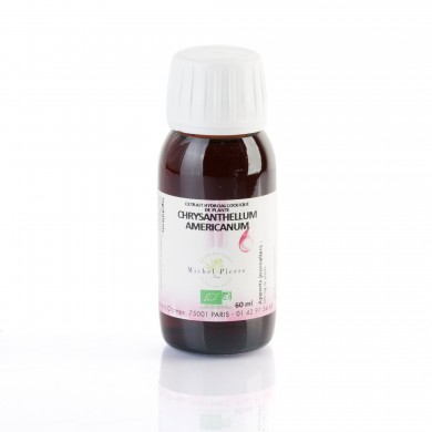 Chrysanthellum americanum extrait hydroalcoolique Bio Chrysanthellum americanum extrait hydroalcoolique Bio