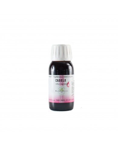 Cassis extrait hydroalcoolique Bio Cassis extrait hydroalcoolique Bio