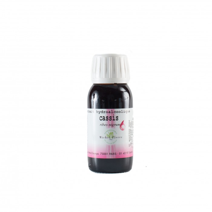 Cassis extrait hydroalcoolique Bio