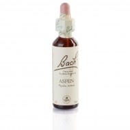 ASPEN (peuplier tremble) 20 ml