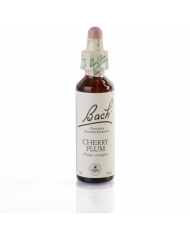 BEECH (hêtre) 20 ml BEECH (hêtre) 20 ml