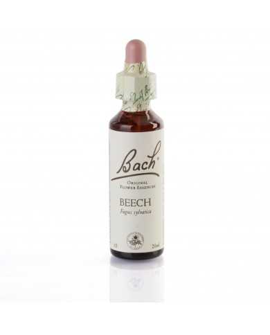 BEECH (hêtre) 20 ml BEECH (hêtre) 20 ml