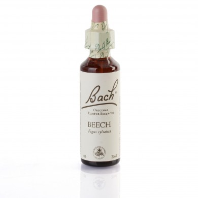 BEECH (hêtre) 20 ml BEECH (hêtre) 20 ml
