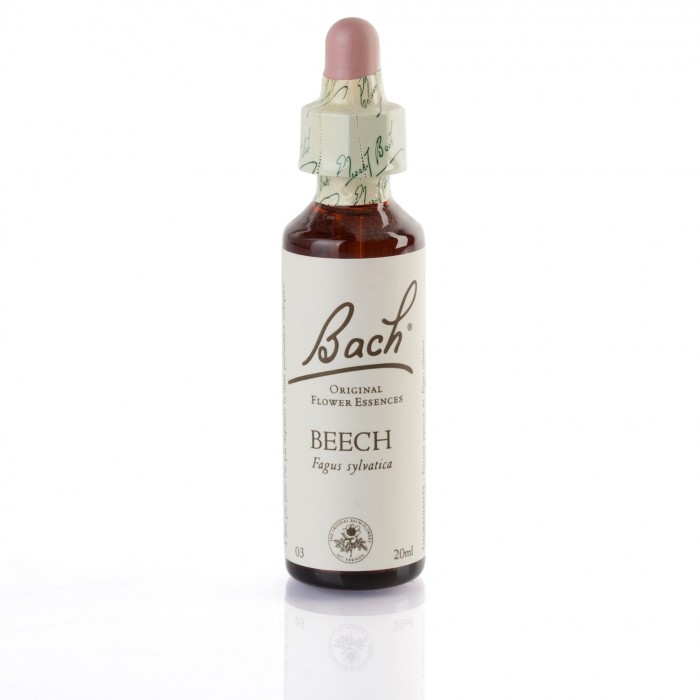 BEECH (hêtre) 20 ml