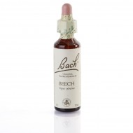 BEECH (hêtre) 20 ml BEECH (hêtre) 20 ml