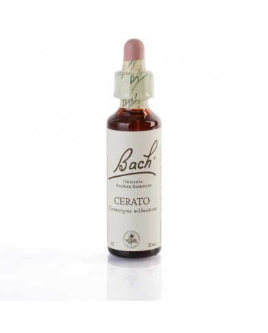 CERATO (plantain) 20 ml CERATO (plantain) 20 ml