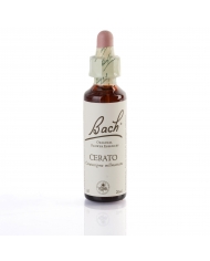 CENTAURY (petite centaurée) 20 ml CENTAURY (petite centaurée) 20 ml
