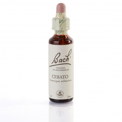 CERATO (plantain) 20 ml CERATO (plantain) 20 ml