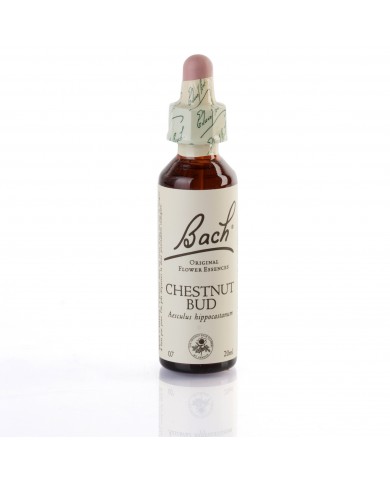 CHESTNUT BUD (marron d'inde) 20 ml CHESTNUT BUD (marron d'inde) 20 ml