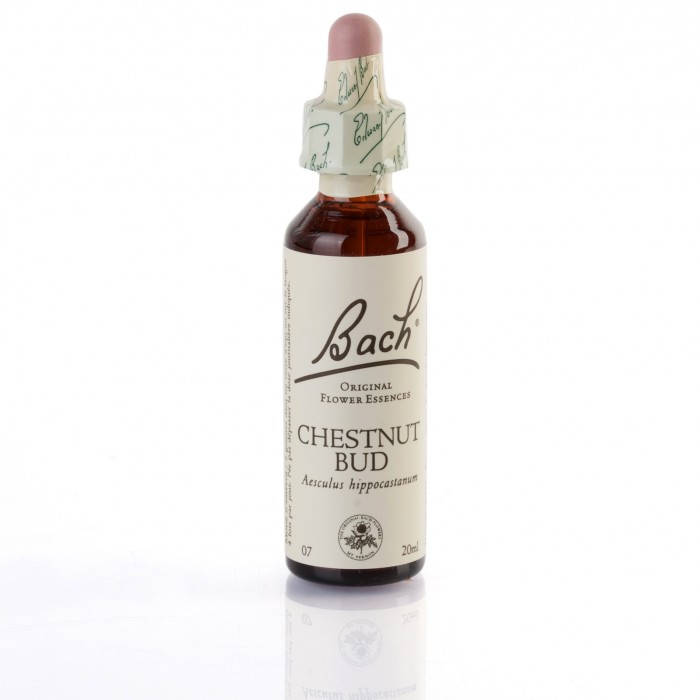 CHESTNUT BUD (marron d'inde) 20 ml
