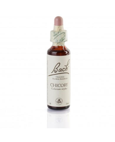 CHICORY (chicorée sauvage) 20 ml CHICORY (chicorée sauvage) 20 ml