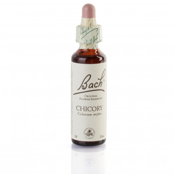 CHICORY (chicorée sauvage) 20 ml