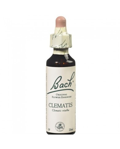 CLEMATIS (clématite des haies) 20 ml CLEMATIS (clématite des haies) 20 ml
