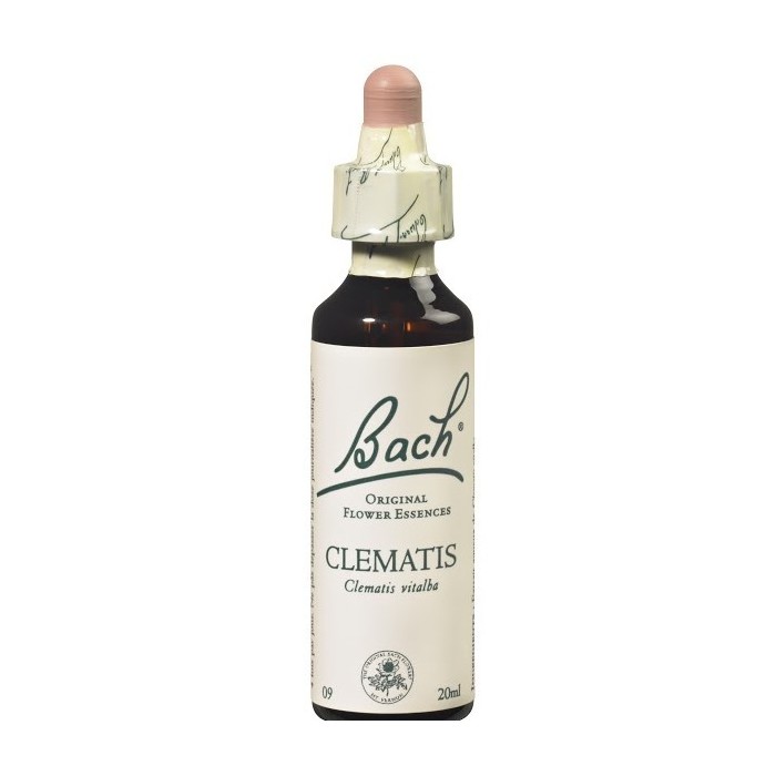 CLEMATIS (clématite des haies) 20 ml