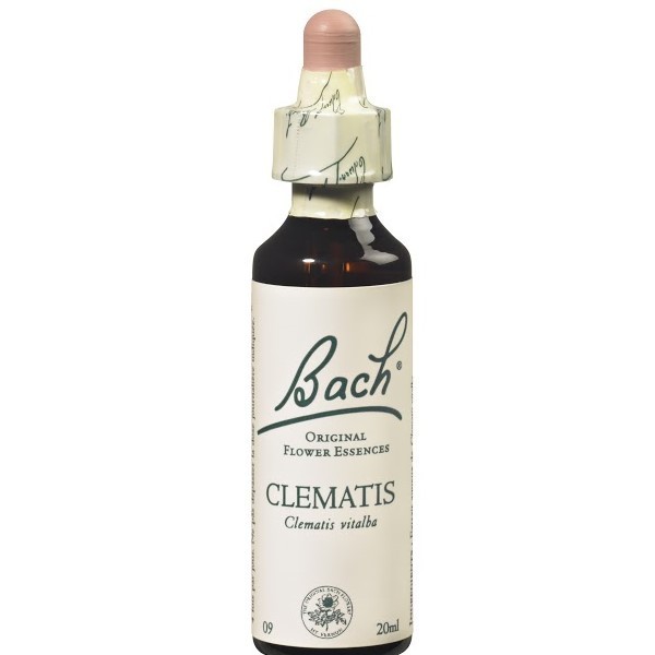 CLEMATIS (clématite des haies) 20 ml