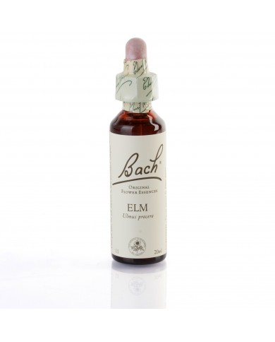 ELM (orme champetre) 20 ml ELM (orme champetre) 20 ml