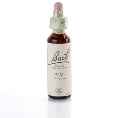 ELM (orme champetre) 20 ml ELM (orme champetre) 20 ml