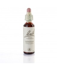 ELM (orme champetre) 20 ml