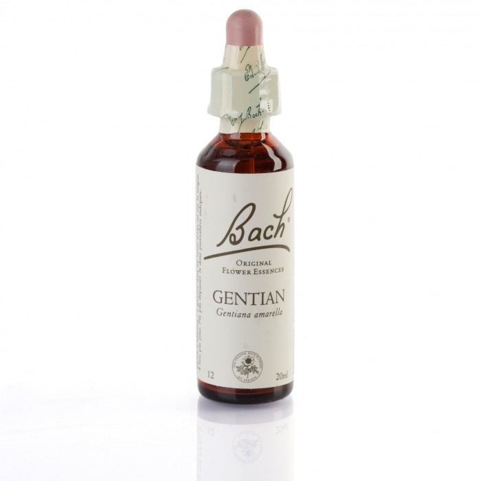 GENTIAN ( gentiane ) 20 ml