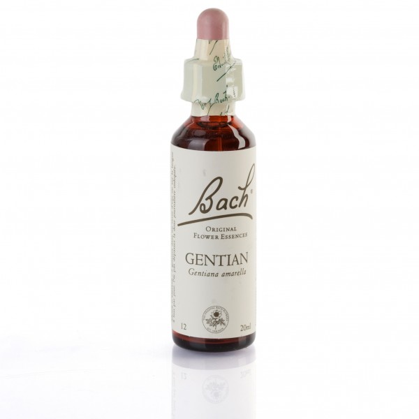GENTIAN ( gentiane ) 20 ml