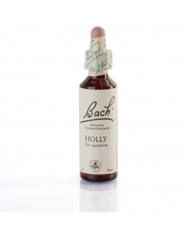 HOLLY ( houx ) 20 ml HOLLY ( houx ) 20 ml