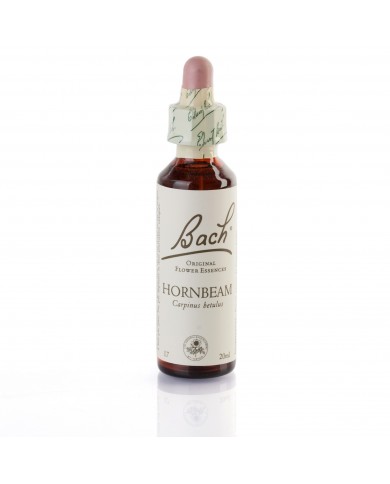 HORNBEAM (charme) 20 ml HORNBEAM (charme) 20 ml