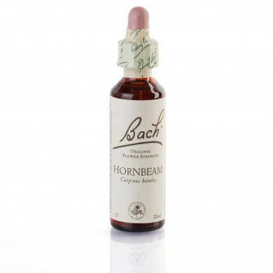HORNBEAM (charme) 20 ml HORNBEAM (charme) 20 ml