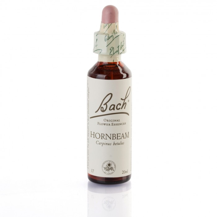 HORNBEAM (charme) 20 ml