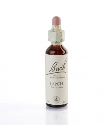 LARCH (mélèze) 20 ml LARCH (mélèze) 20 ml