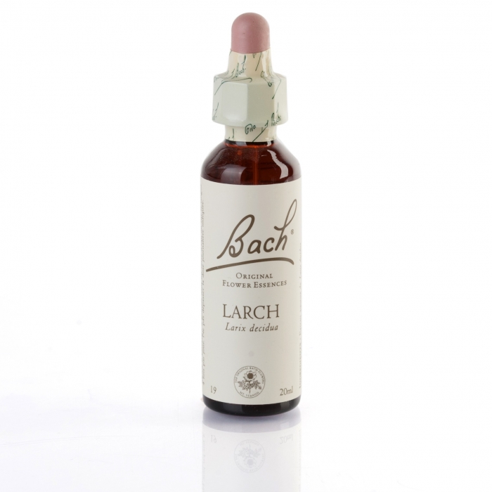 LARCH (mélèze) 20 ml