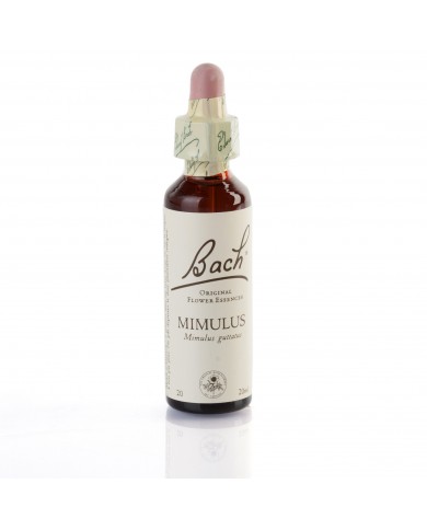 MIMULUS (mimule tacheté) 20 ml MIMULUS (mimule tacheté) 20 ml