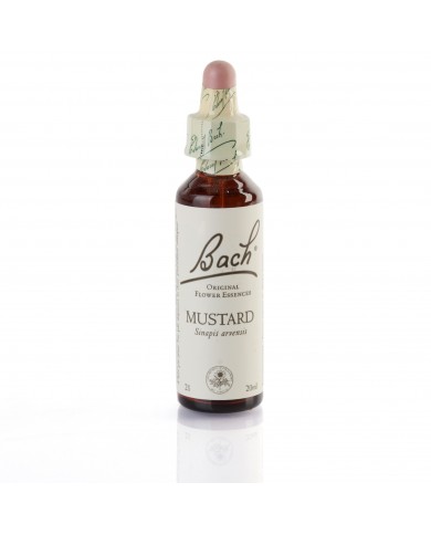 MUSTARD ( moutarde ) 20 ml MUSTARD ( moutarde ) 20 ml