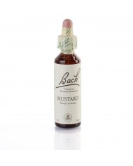 MIMULUS (mimule tacheté) 20 ml