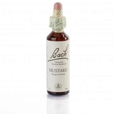 MUSTARD ( moutarde ) 20 ml MUSTARD ( moutarde ) 20 ml