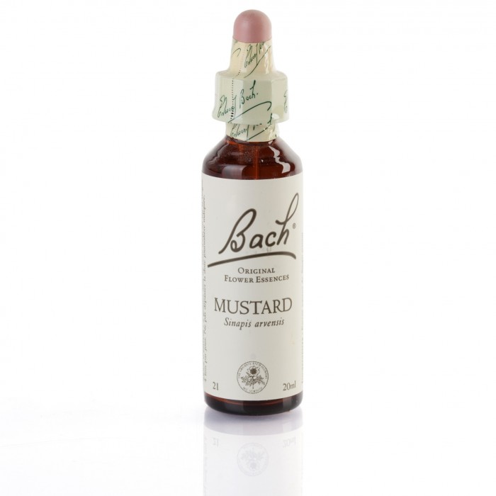 MUSTARD ( moutarde ) 20 ml