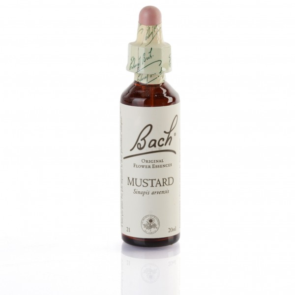 MUSTARD ( moutarde ) 20 ml