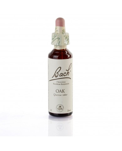 OAK ( chêne ) 20 ml OAK ( chêne ) 20 ml