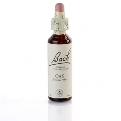 OAK ( chêne ) 20 ml OAK ( chêne ) 20 ml