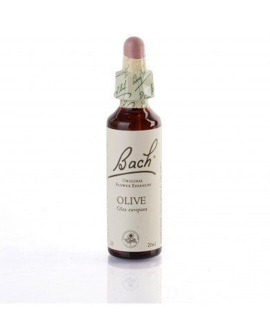 OLIVE ( olivier ) 20 ml