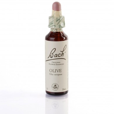 OLIVE ( olivier ) 20 ml OLIVE ( olivier ) 20 ml