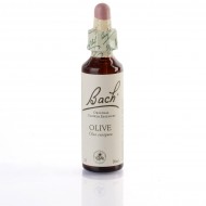 OLIVE ( olivier ) 20 ml OLIVE ( olivier ) 20 ml