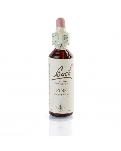 PINE ( pin sylvestre ) 20 ml PINE ( pin sylvestre ) 20 ml